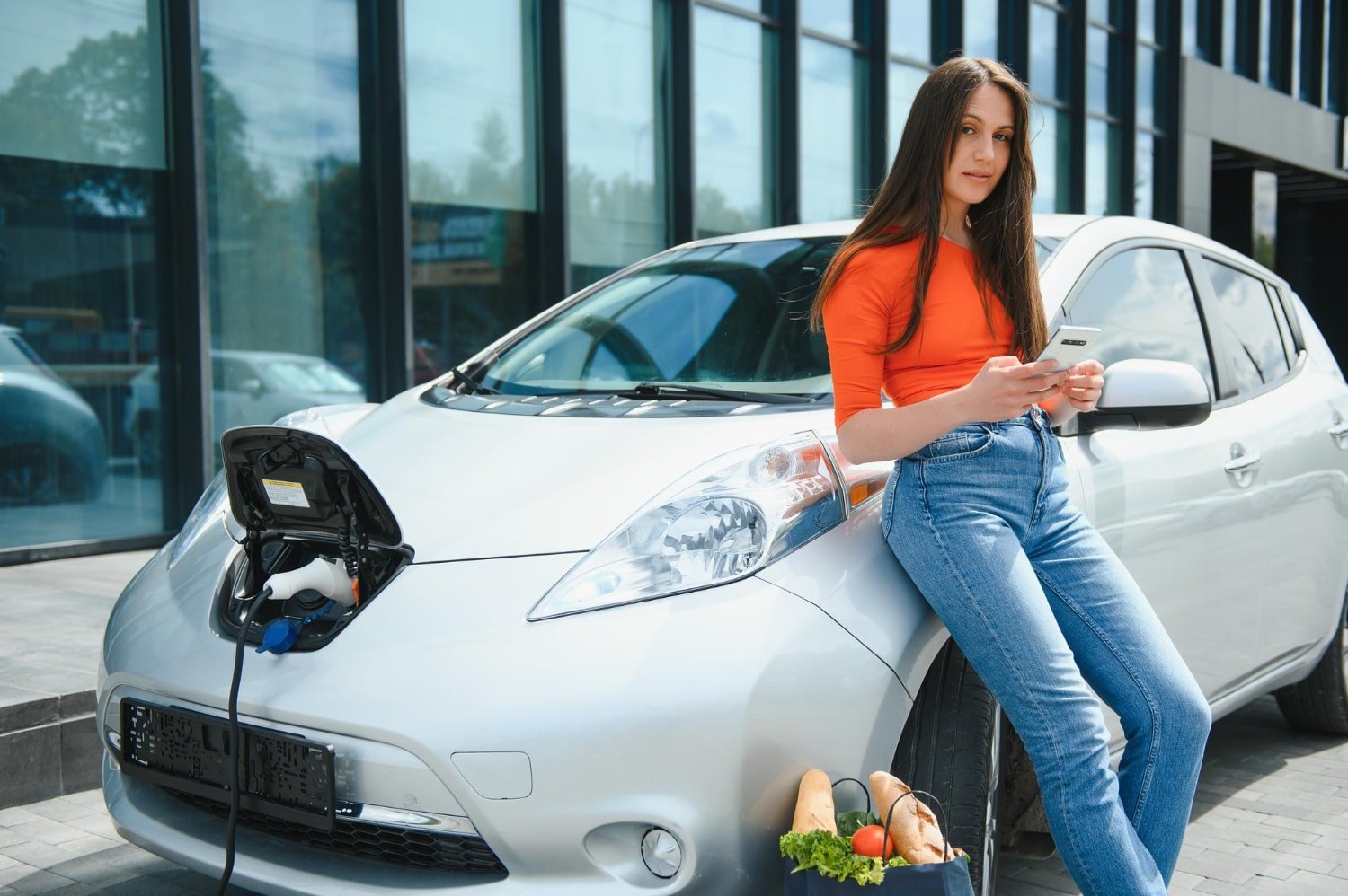 Electric Vehicles (EVs)